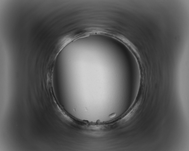 X0000084551385200703021456
