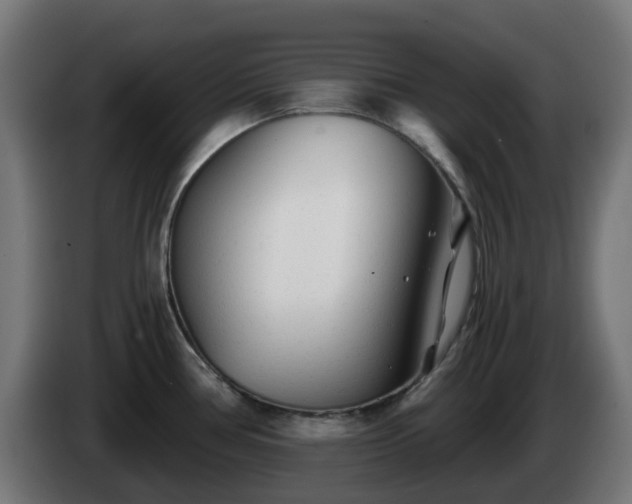 X0000084551386200703021456