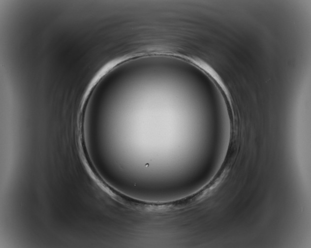 X0000084551389200703021456