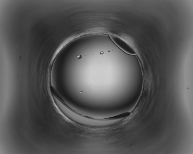 X0000084551390200703021456
