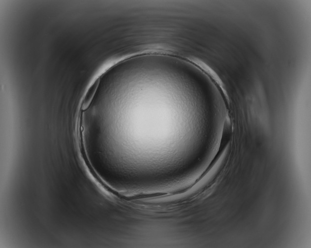 X0000084551391200703021456
