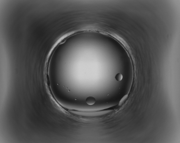 X0000084551392200703021456