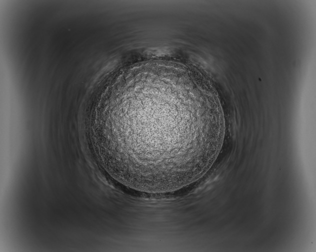X0000084551393200703021455