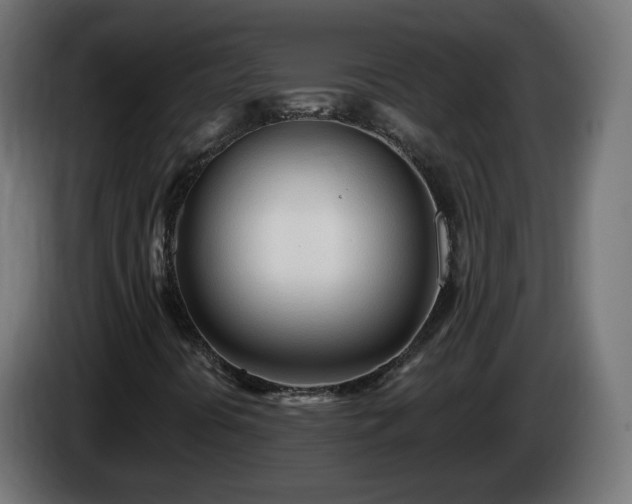 X0000084551394200703021455