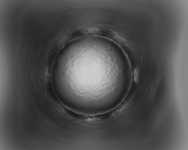 X0000084551395200703021455