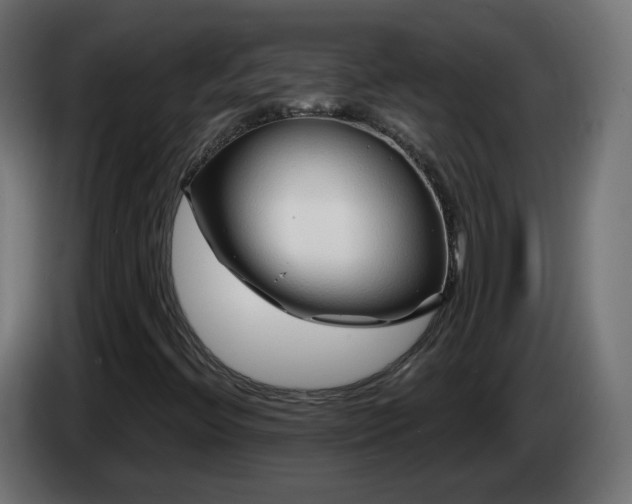 X0000084551396200703021455