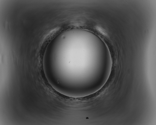 X0000084551398200703021455