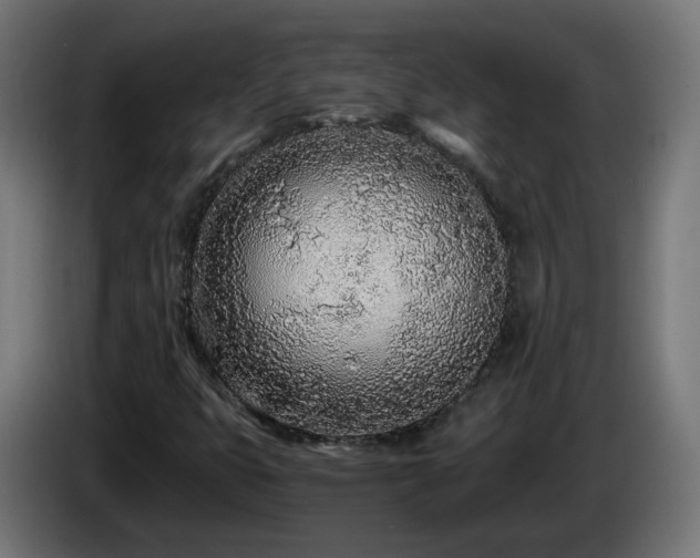 X0000084551399200703021455