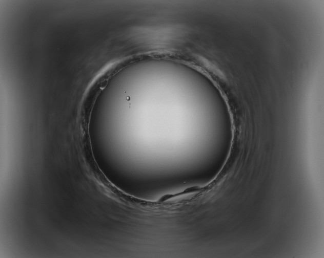 X0000084551400200703021455