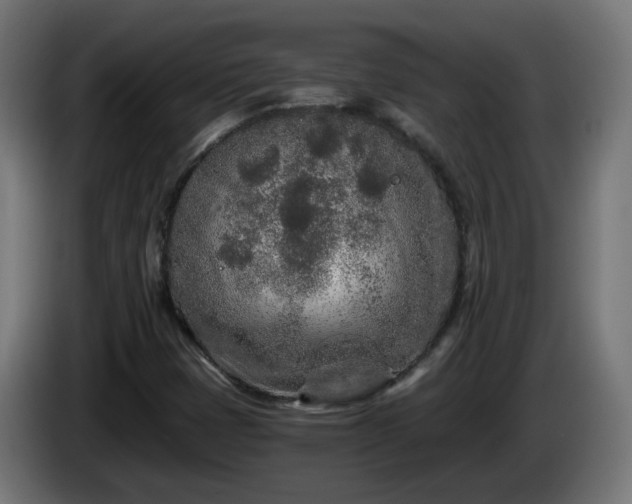 X0000084551401200703021455