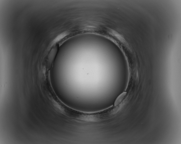 X0000084551402200703021456