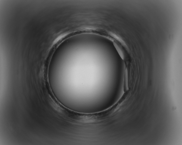 X0000084551404200703021456