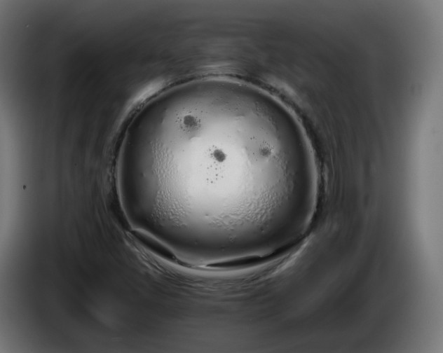 X0000084551405200703021456