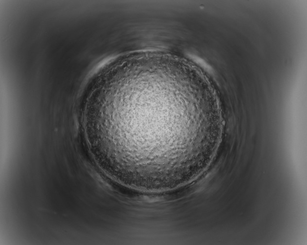 X0000084551407200703021456