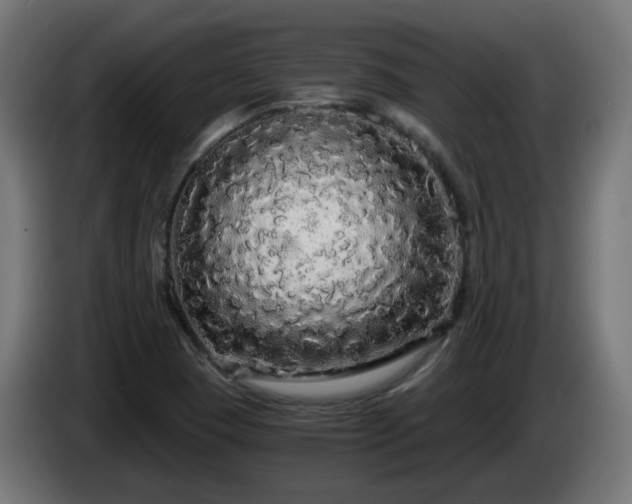 X0000084551409200703021456