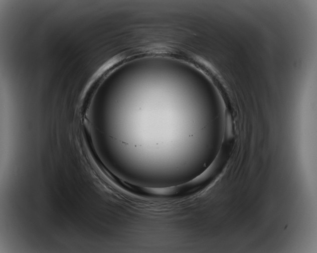 X0000084551410200703021456