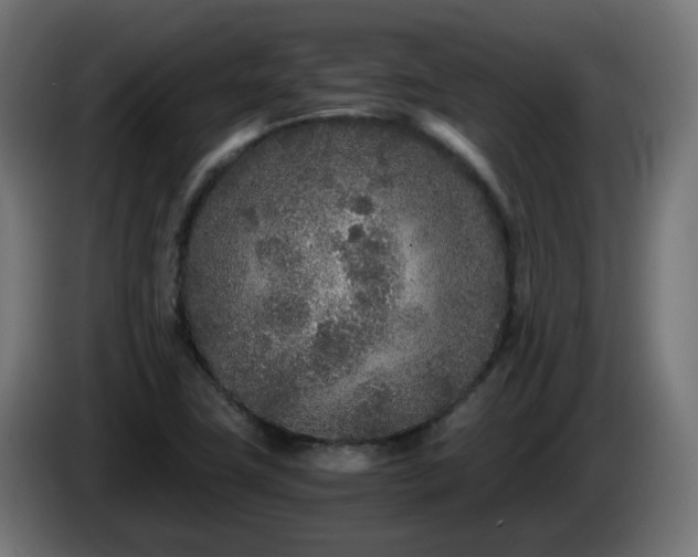 X0000084551411200703021456