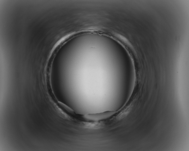 X0000084551412200703021456