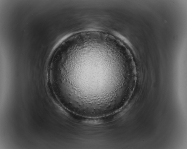 X0000084551415200703021456