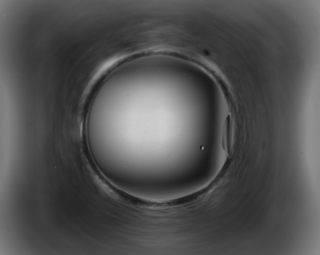 X0000084551416200703021456