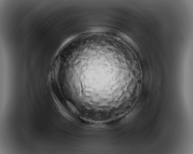 X0000084551417200703021456