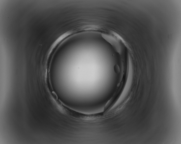 X0000084551418200703021456