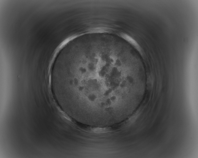 X0000084551419200703021456