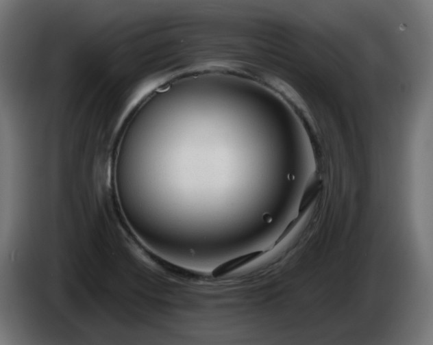 X0000084551420200703021456