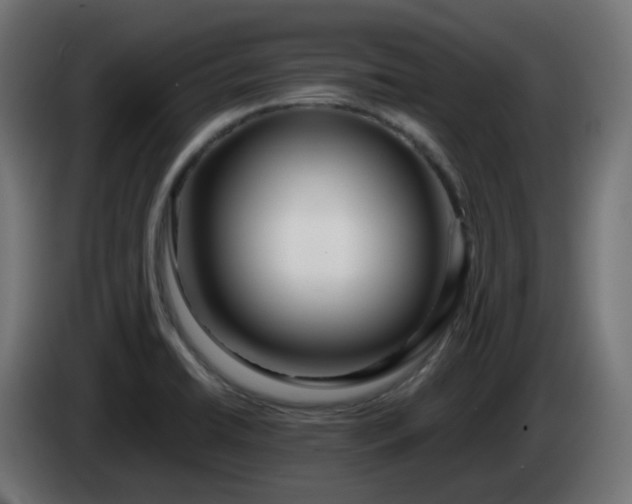 X0000084551422200703021456