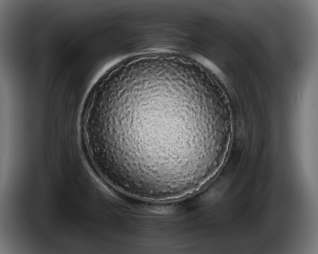 X0000084551423200703021456