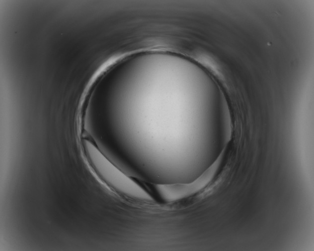 X0000084551424200703021456