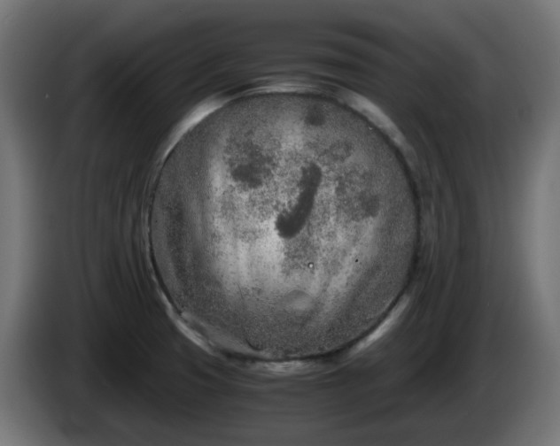 X0000084551425200703021456