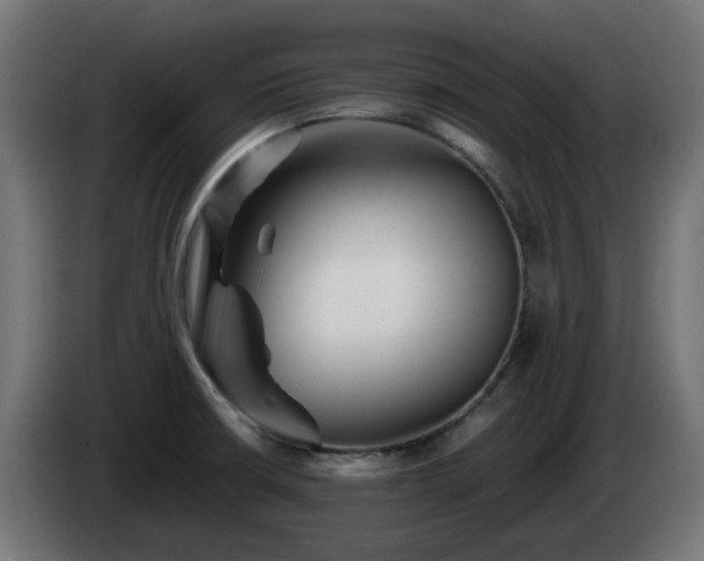 X0000084551426200703021456