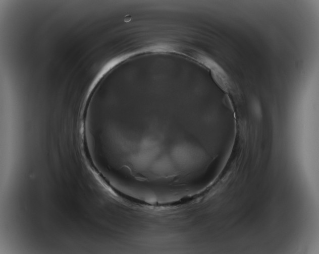 X0000084551428200703021456
