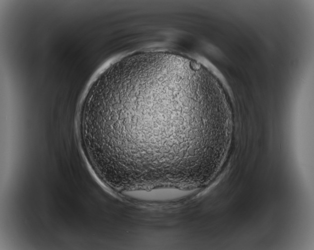 X0000084551429200703021456
