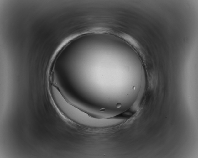 X0000084551430200703021456