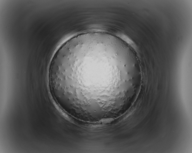 X0000084551431200703021456