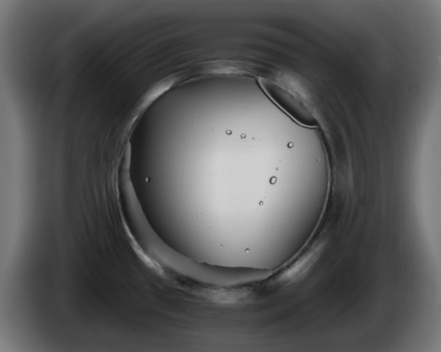 X0000084551433200703021456