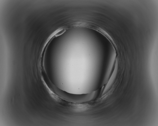 X0000084551434200703021456