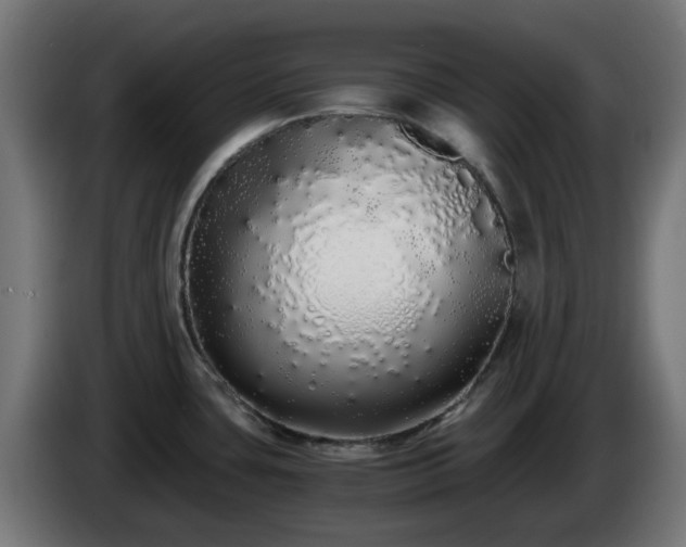 X0000084551435200703021456
