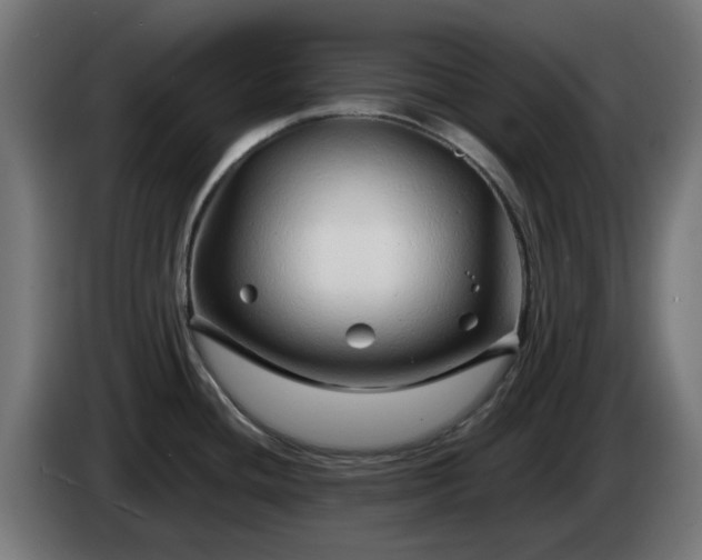 X0000084551436200703021456