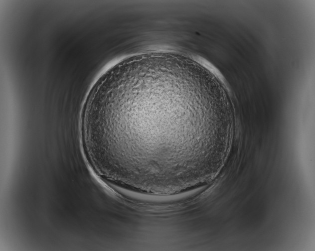 X0000084551439200703021456