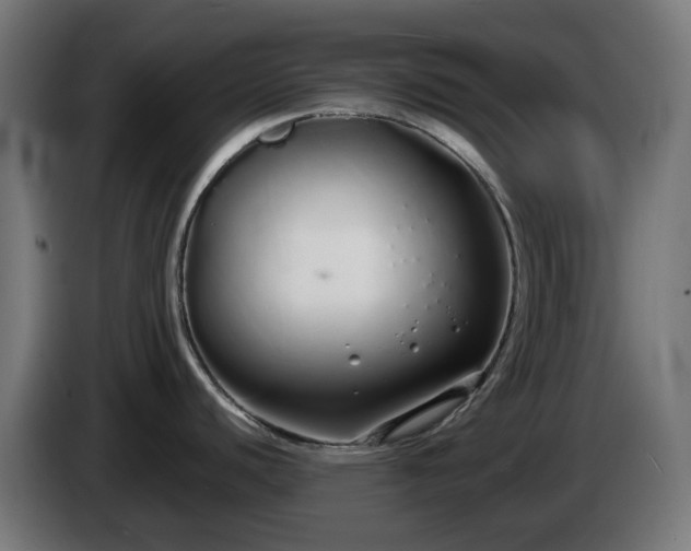 X0000084551440200703021456