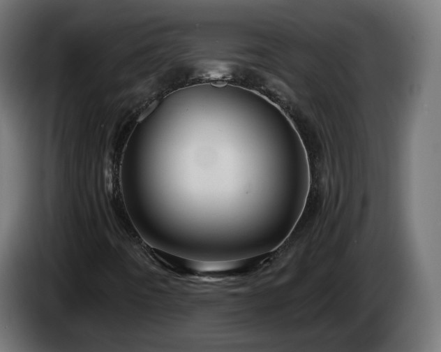 X0000084551442200703021455