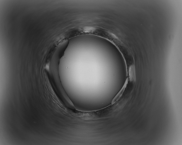 X0000084551443200703021455