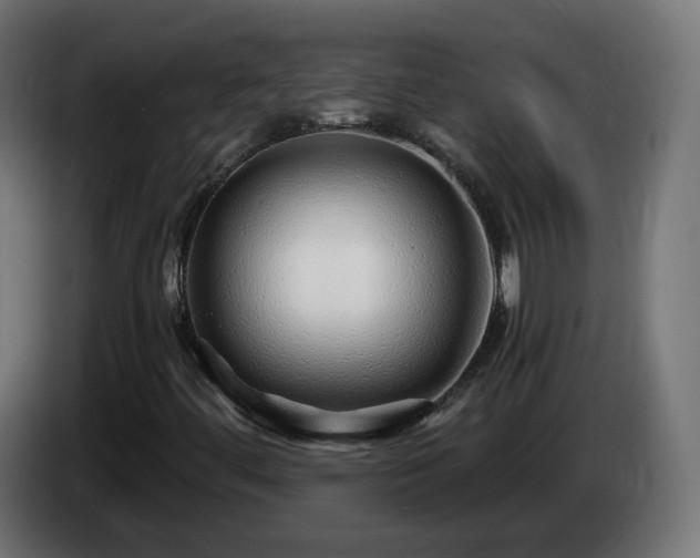 X0000084551444200703021455
