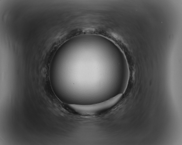 X0000084551445200703021455