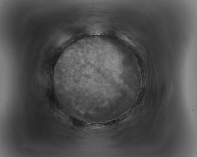 X0000084551446200703021455