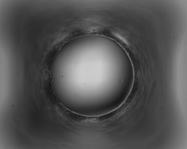X0000084551447200703021455