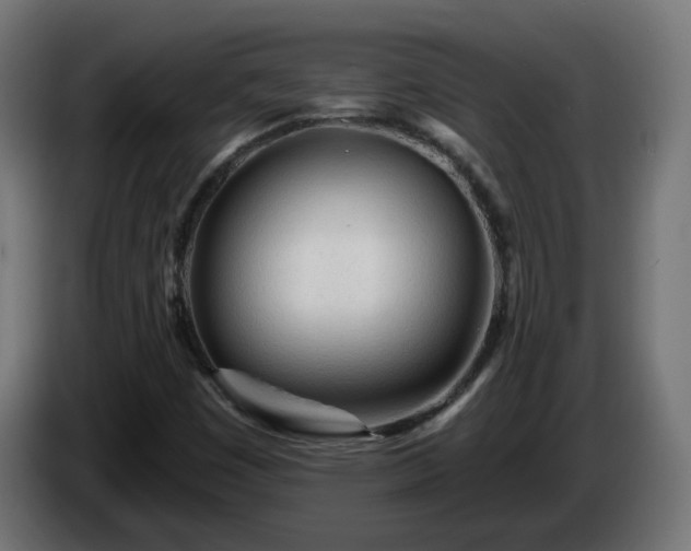 X0000084551449200703021455